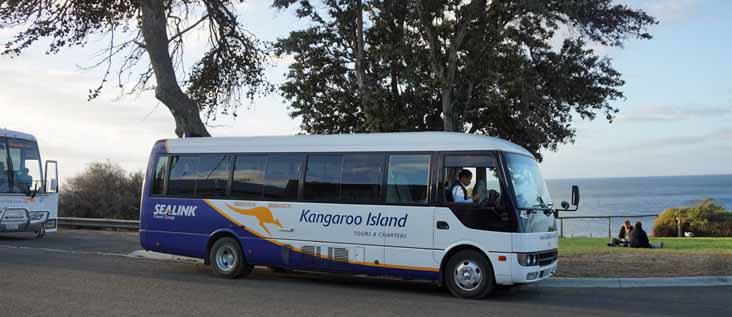 Sealink Fuso Rosa 42